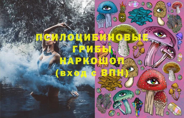 бошки Алзамай